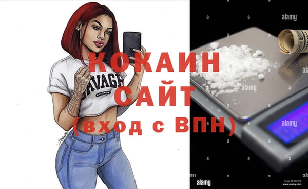 шишки Артём