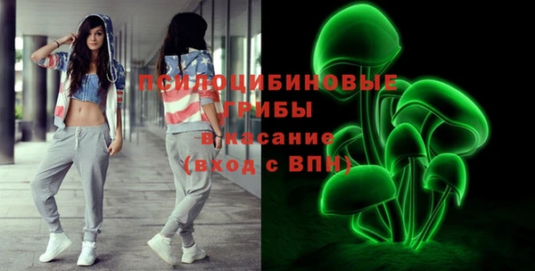 эйфоретик Медногорск