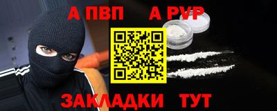 кокс Кингисепп