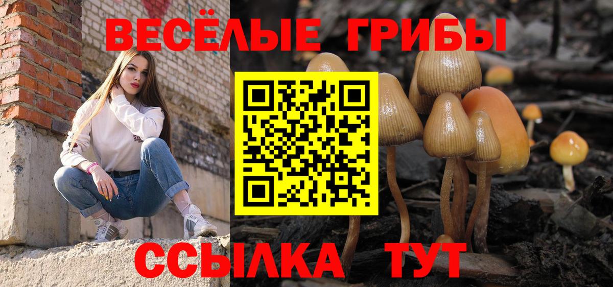 Каннабис  Мефедрон  Карасук  Меф МЯУ МЯУ кристаллы  Марихуана  Метамфетамин  Вход с VPN  Гашиш  Cocaine 