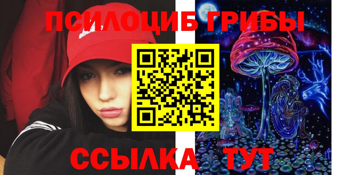 Псилоцибиновые грибы мицелий Карасук
